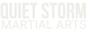 Quiet Storm Martial Arts Logo