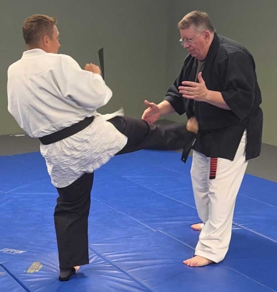 Two martial arts students practicing together during training