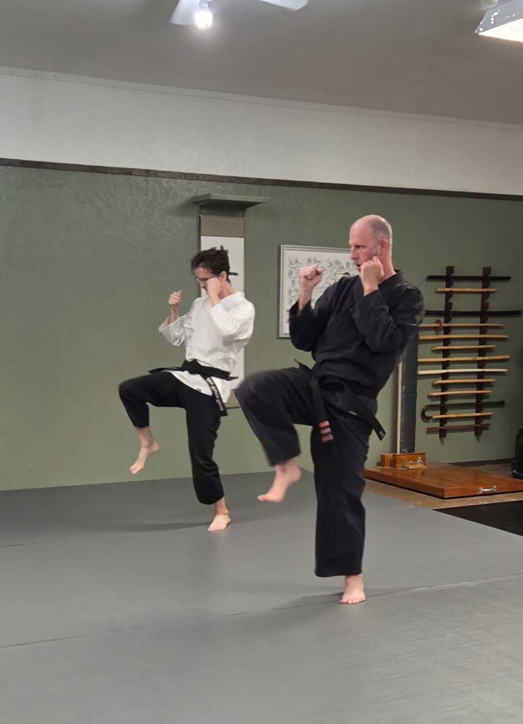 Two men practicing karate kicks during a Shin Nagare martial arts class.